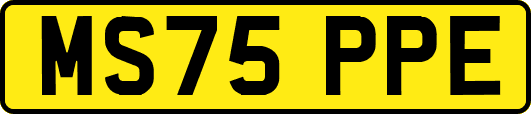 MS75PPE