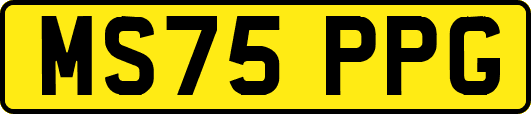 MS75PPG
