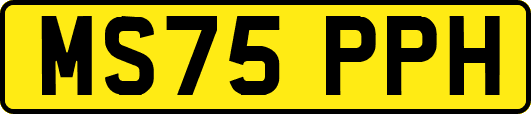 MS75PPH