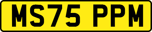 MS75PPM