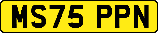 MS75PPN