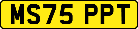 MS75PPT