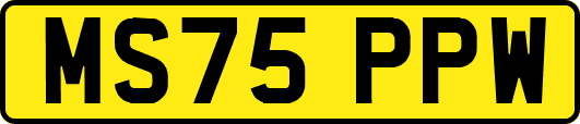 MS75PPW