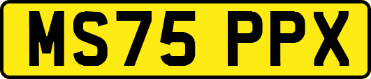 MS75PPX