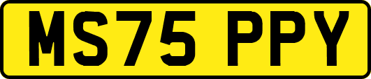 MS75PPY