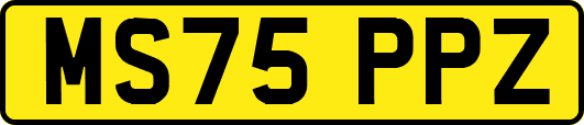 MS75PPZ