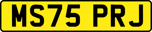 MS75PRJ