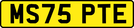 MS75PTE