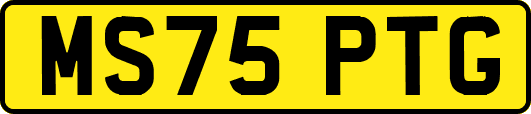 MS75PTG