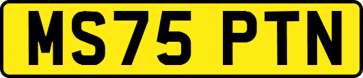 MS75PTN