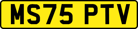 MS75PTV