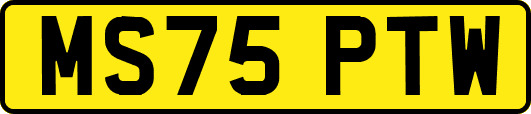 MS75PTW