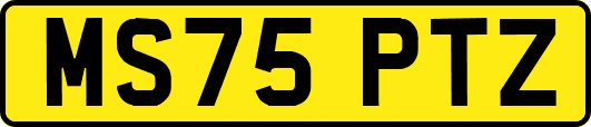 MS75PTZ