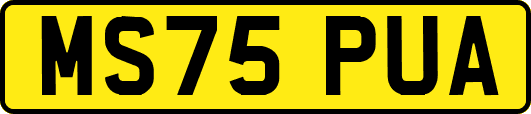 MS75PUA