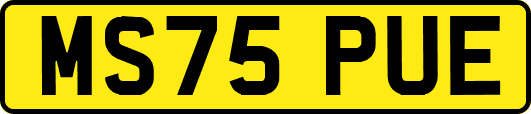 MS75PUE