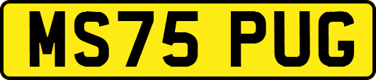 MS75PUG