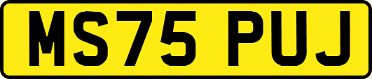 MS75PUJ