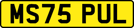 MS75PUL