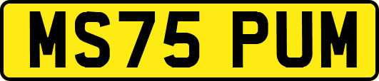 MS75PUM