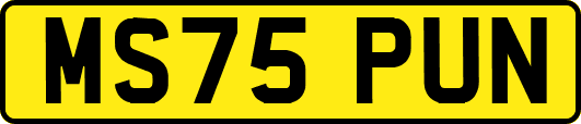 MS75PUN