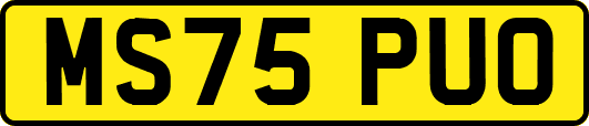 MS75PUO