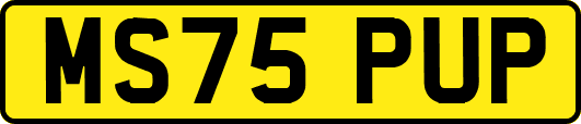 MS75PUP