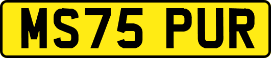 MS75PUR