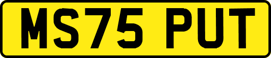 MS75PUT