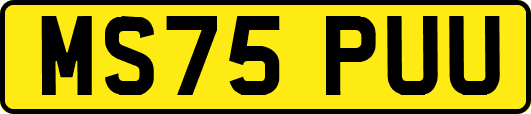 MS75PUU