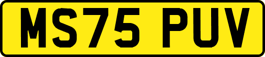 MS75PUV