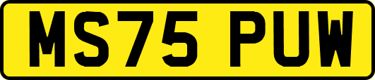 MS75PUW