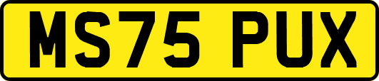 MS75PUX
