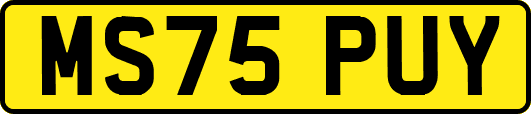 MS75PUY