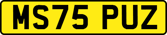 MS75PUZ