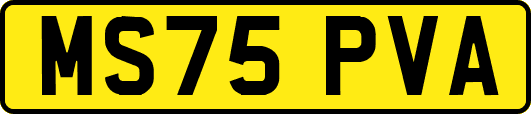 MS75PVA