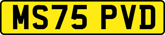 MS75PVD