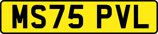 MS75PVL