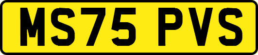 MS75PVS