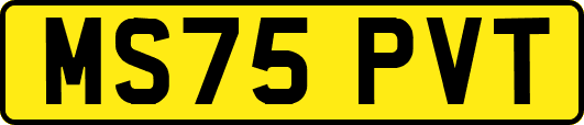 MS75PVT