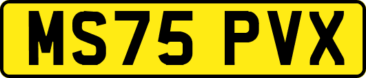 MS75PVX