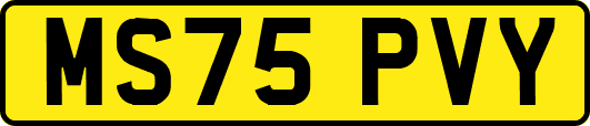 MS75PVY