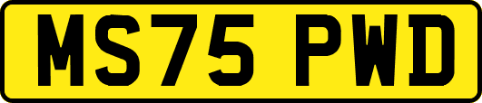 MS75PWD