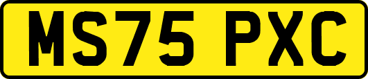 MS75PXC
