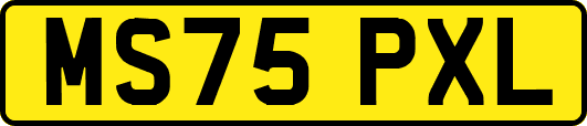 MS75PXL