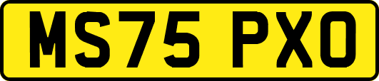 MS75PXO