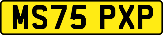MS75PXP