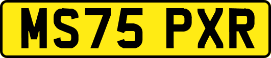 MS75PXR