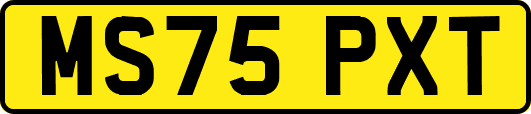 MS75PXT