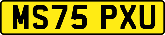 MS75PXU