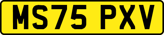 MS75PXV